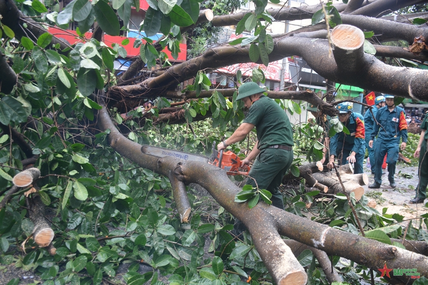 View - 	Hà Nội tập trung dọn dẹp cây xanh ngã đổ, khai thông tuyến phố